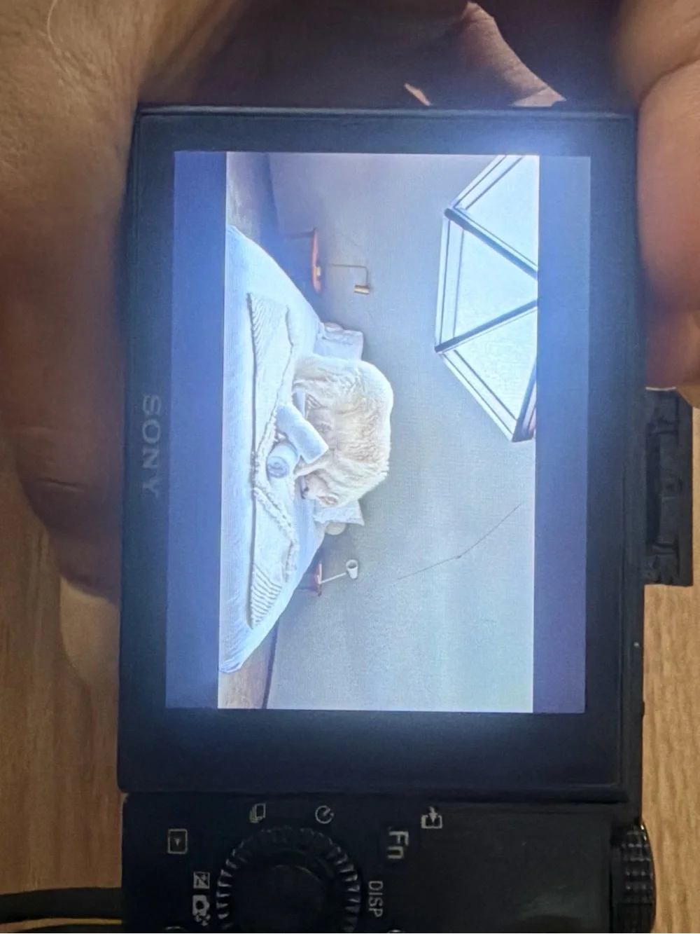 Sony Black Compact Digital Camera with Flip Screen
